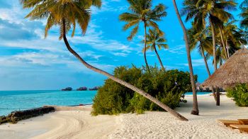 Обои 1280x720 пляж, Мальдивы, пальмы