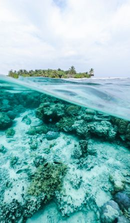 Обои 600x1024 Мальдивы, под водой, риф