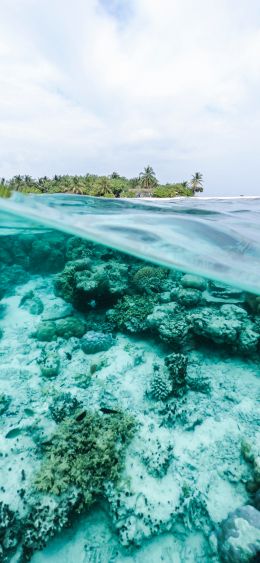 Обои 1080x2340 Мальдивы, под водой, риф