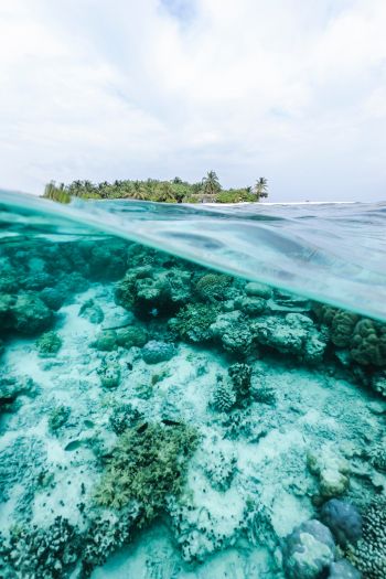 Обои 640x960 Мальдивы, под водой, риф