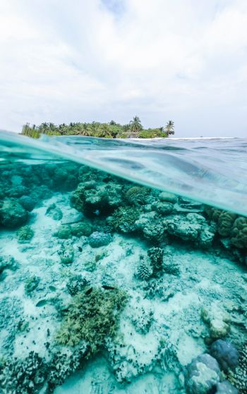 Maldives, underwater, reef Wallpaper 1752x2800