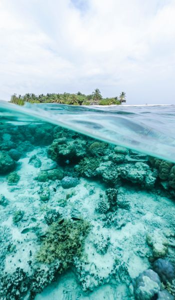 Обои 600x1024 Мальдивы, под водой, риф