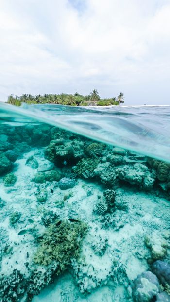 Обои 1440x2560 Мальдивы, под водой, риф