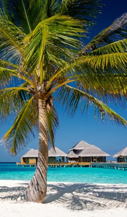 Обои 600x1024 Мальдивы, пляж, отпуск
