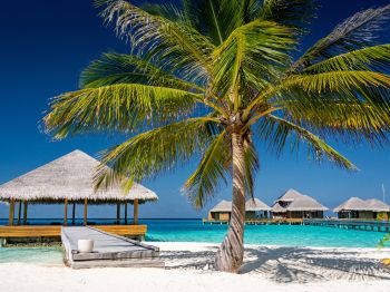 Обои 800x600 Мальдивы, пляж, отпуск