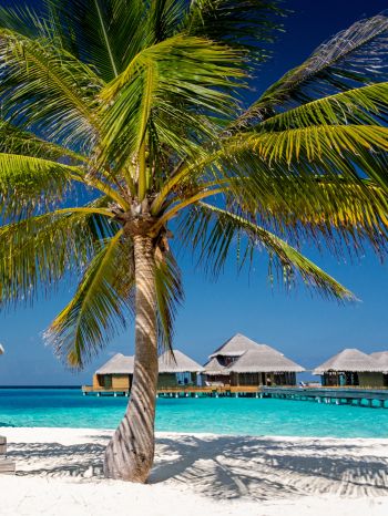 Обои 1620x2160 Мальдивы, пляж, отпуск
