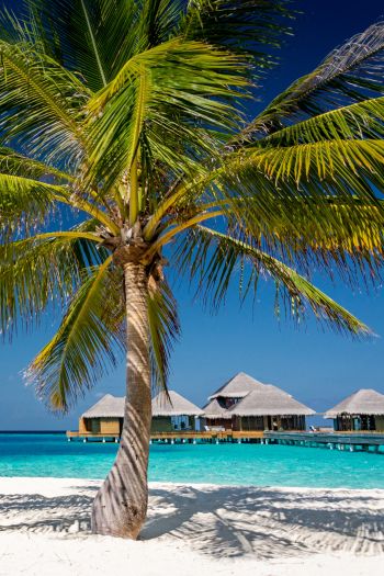 Обои 640x960 Мальдивы, пляж, отпуск