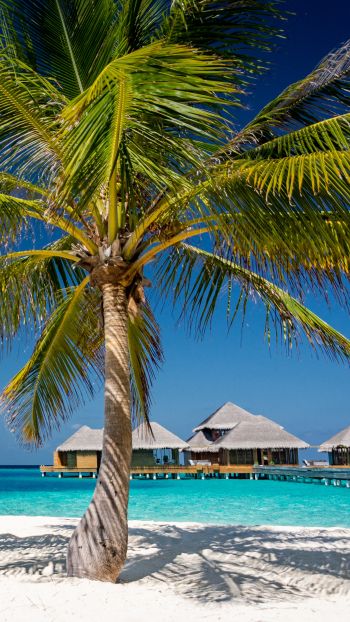Обои 1440x2560 Мальдивы, пляж, отпуск