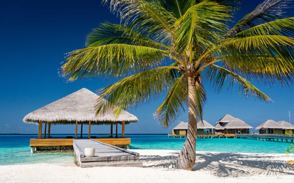 Обои 2560x1600 Мальдивы, пляж, отпуск