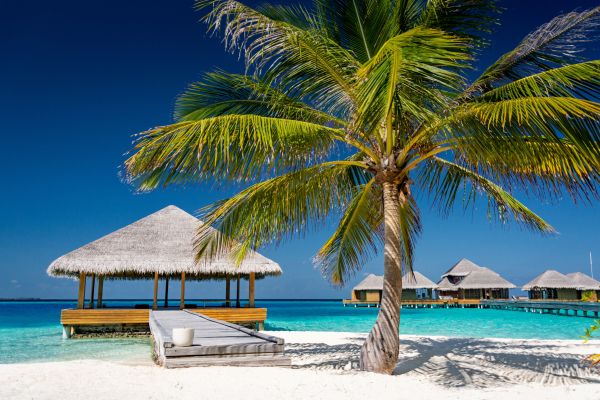 Maldives, beach, vacation Wallpaper 5937x3958