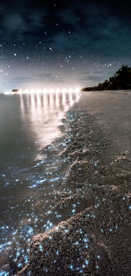 Обои 1440x3040 Мальдивы, ночь, песок