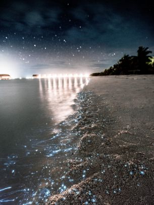 Обои 1668x2224 Мальдивы, ночь, песок