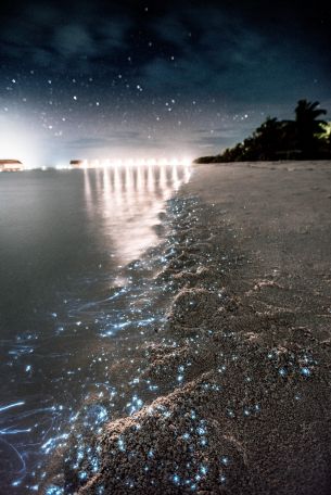 Maldives, night, sand Wallpaper 2832x4240