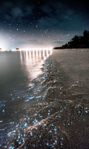 Maldives, night, sand Wallpaper 1200x2000