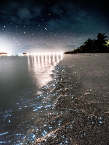 Обои 1620x2160 Мальдивы, ночь, песок
