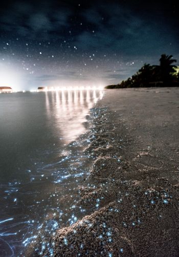 Maldives, night, sand Wallpaper 1668x2388