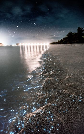 Обои 1600x2560 Мальдивы, ночь, песок