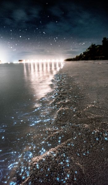 Обои 600x1024 Мальдивы, ночь, песок