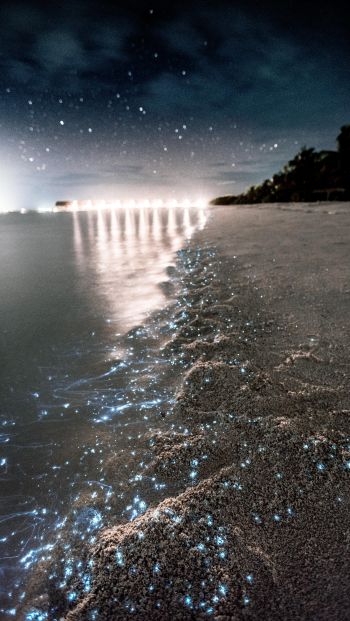 Обои 640x1136 Мальдивы, ночь, песок
