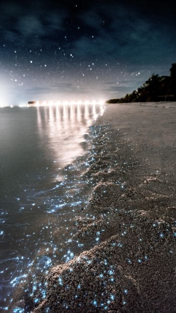 Maldives, night, sand Wallpaper 1440x2560