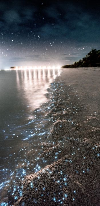 Maldives, night, sand Wallpaper 1440x2960
