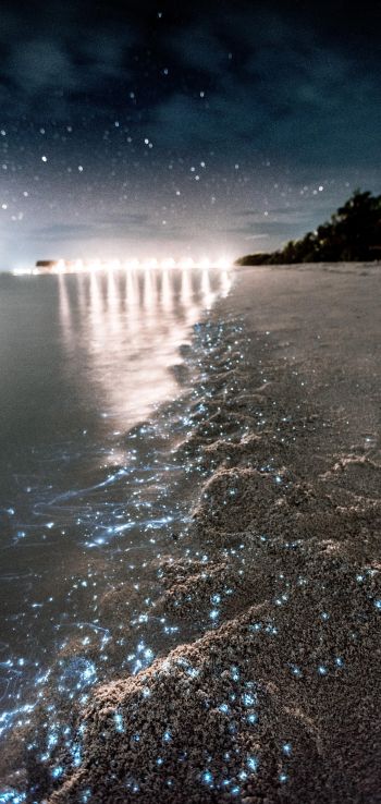 Обои 1080x2280 Мальдивы, ночь, песок