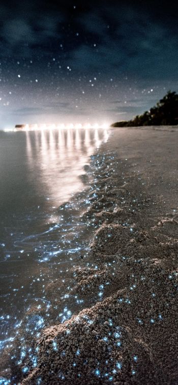 Обои 1242x2688 Мальдивы, ночь, песок