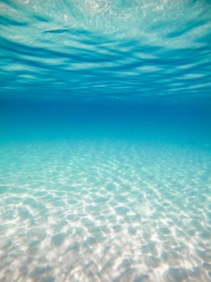 underwater, ocean, Maldives Wallpaper 3000x4000