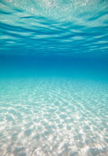 underwater, ocean, Maldives Wallpaper 1640x2360