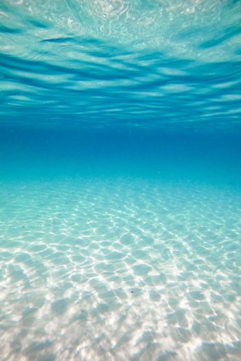 underwater, ocean, Maldives Wallpaper 640x960