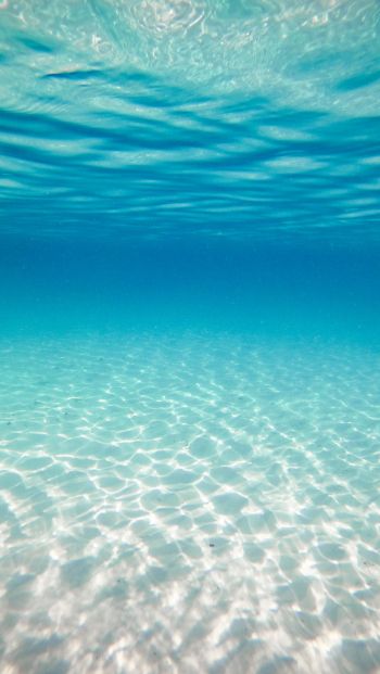 Обои 640x1136 под водой, океан, Мальдивы