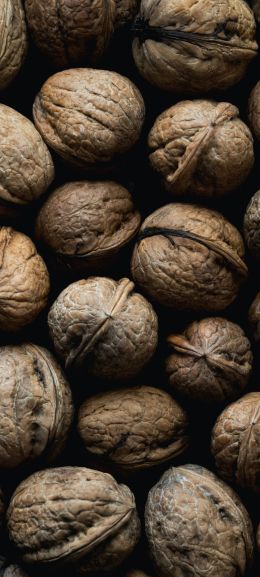 walnut, brown Wallpaper 1440x3200