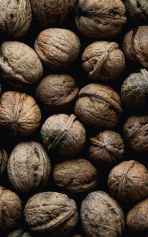 walnut, brown Wallpaper 800x1280