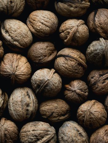walnut, brown Wallpaper 1668x2224