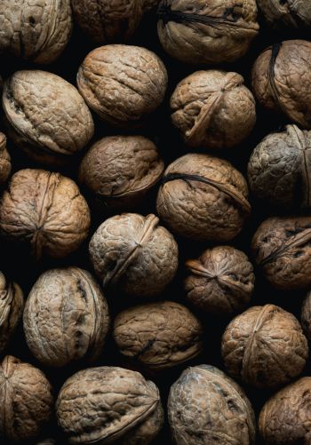 walnut, brown Wallpaper 1668x2388
