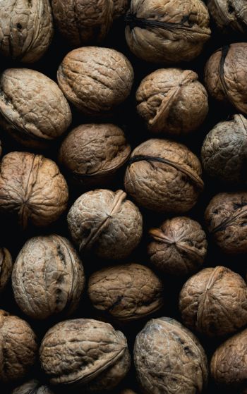 walnut, brown Wallpaper 1752x2800