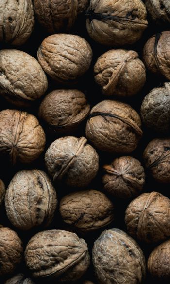 walnut, brown Wallpaper 1200x2000