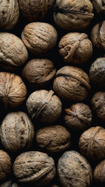 walnut, brown Wallpaper 640x1136