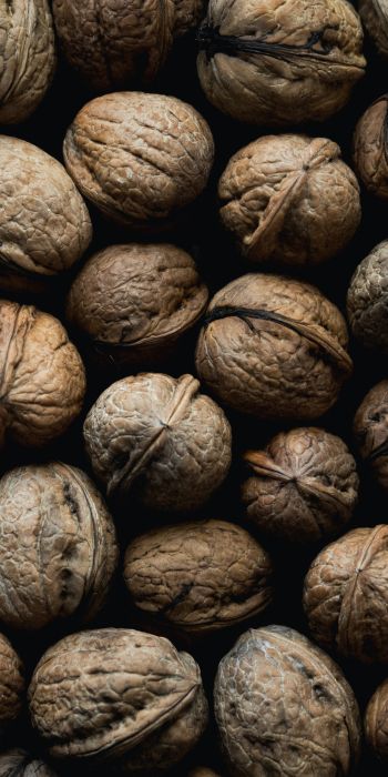 walnut, brown Wallpaper 720x1440