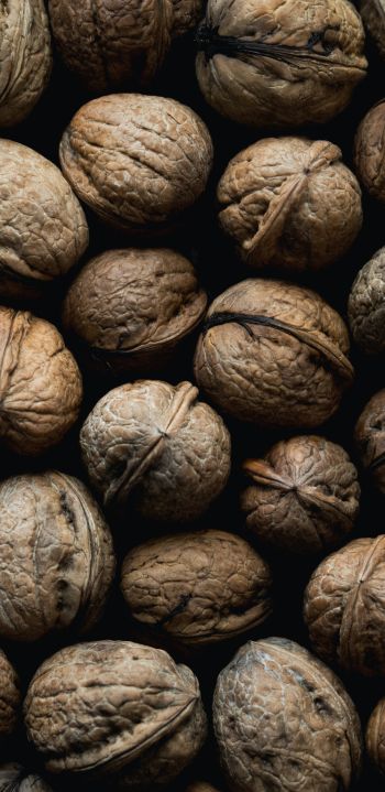 walnut, brown Wallpaper 1080x2220