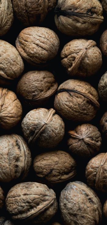 walnut, brown Wallpaper 720x1520