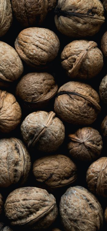 walnut, brown Wallpaper 1242x2688