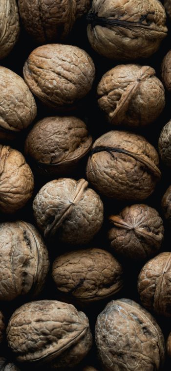 walnut, brown Wallpaper 1080x2340