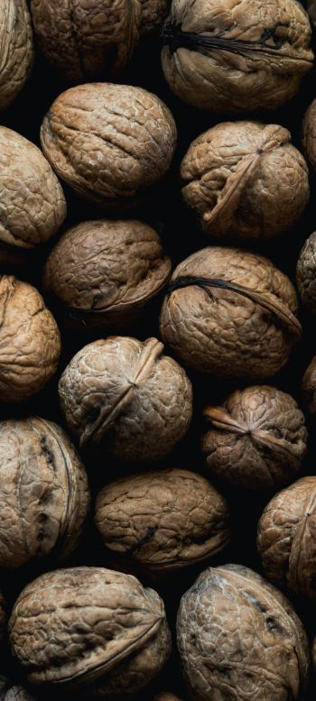 walnut, brown Wallpaper 1440x3200