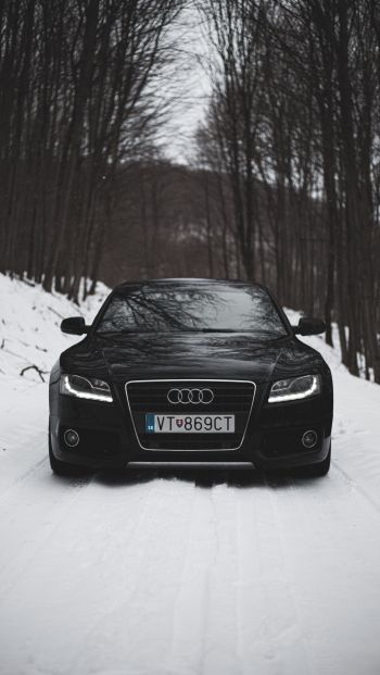 Audi A5, black and white, winter Wallpaper 640x1136
