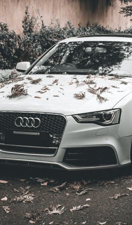 Audi A5, autumn, sports car Wallpaper 600x1024