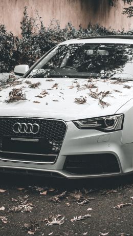 Audi A5, autumn, sports car Wallpaper 640x1136