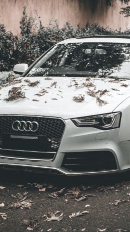 Audi A5, autumn, sports car Wallpaper 1440x2560