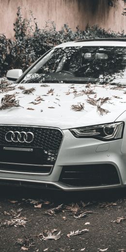 Audi A5, autumn, sports car Wallpaper 720x1440