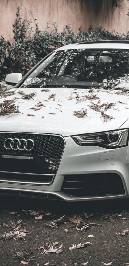 Audi A5, autumn, sports car Wallpaper 1080x2220